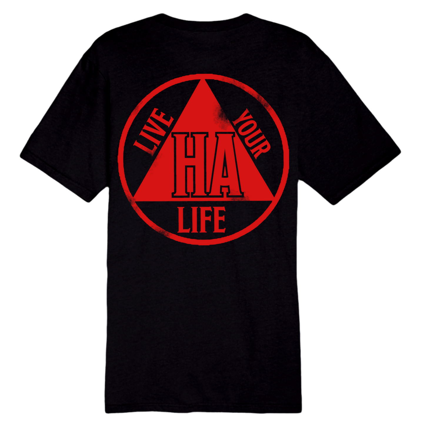 Haterholics Anonymous